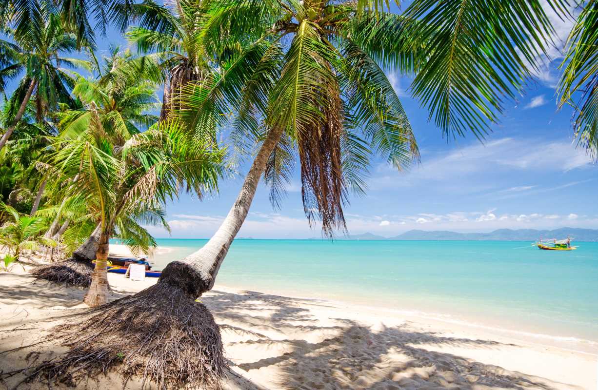 Top-Rated Tropical Vacations You Need to Go On Once