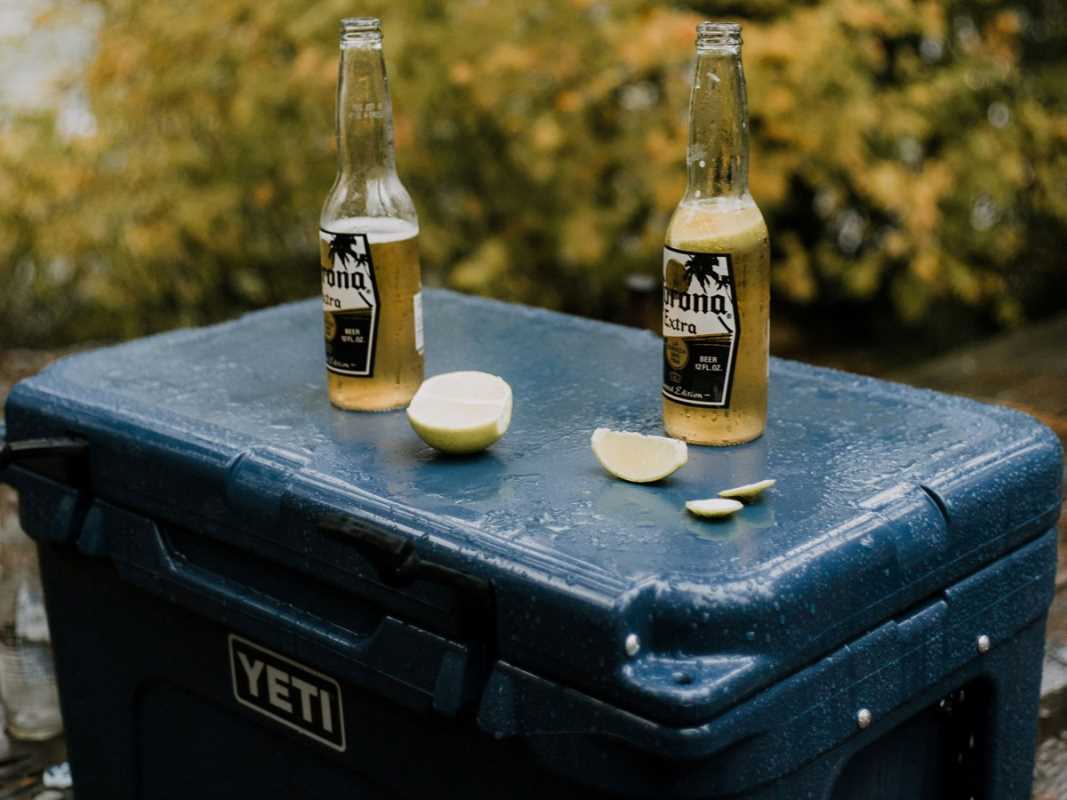Top Rated Portable Coolers for Camping